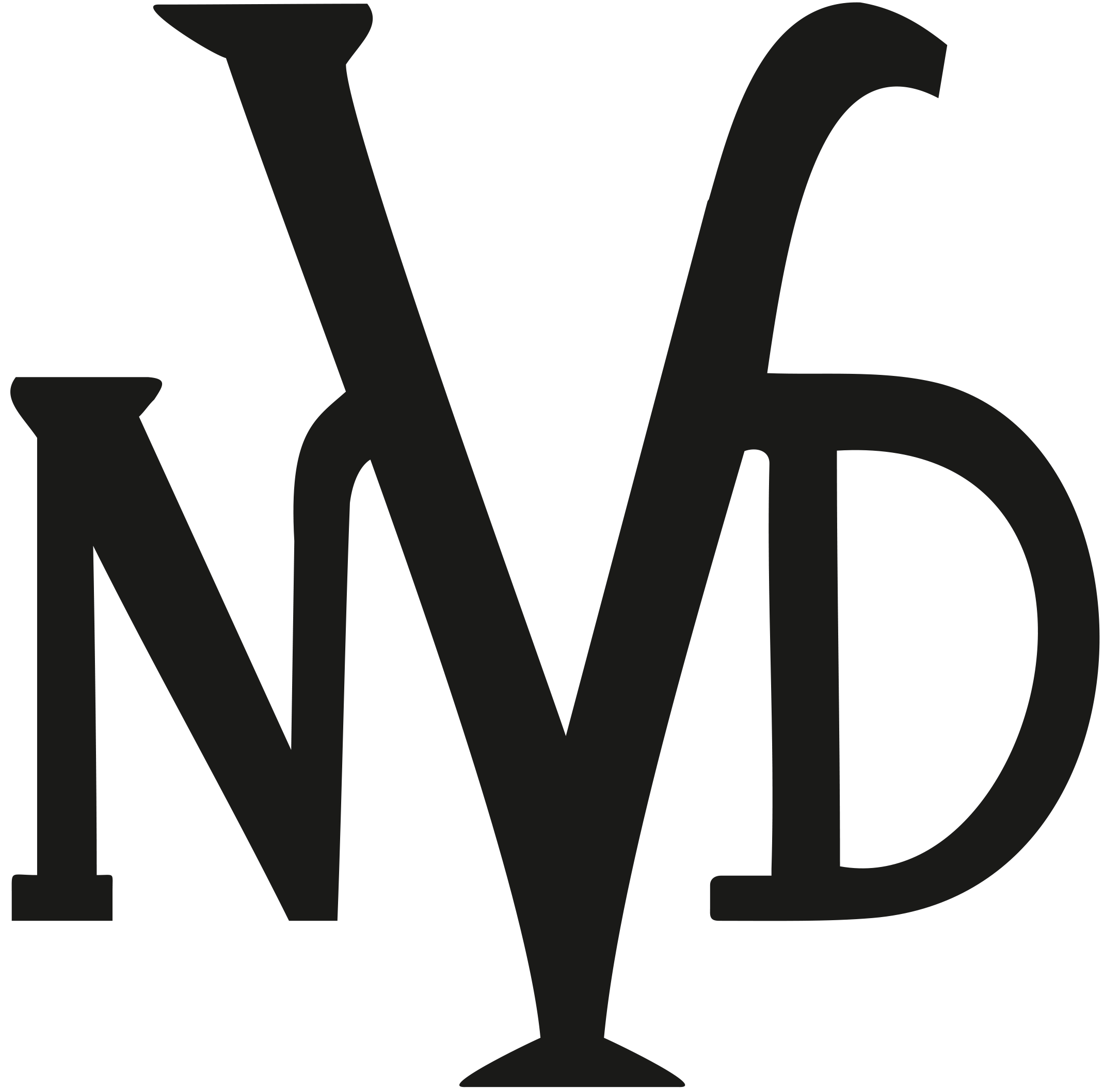 Neveda Bilişim Logo